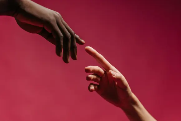 Casino Vegas Crest Supporto